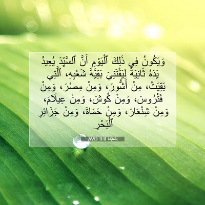 Picture 07 - إِشَعْيَاءَ 11:11 AVD - وَيَكُونُ فِي ذَلِكَ - Bible Verse Picture