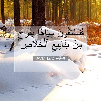 Picture 07 - إِشَعْيَاءَ 12:3 AVD - فَتَسْتَقُونَ مِيَاهًا - Bible Verse Picture