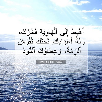 Picture 07 - إِشَعْيَاءَ 14:11 AVD - أُهْبِطَ إِلَى - Bible Verse Picture