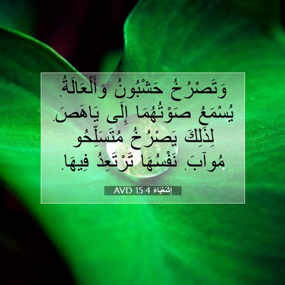 Picture 07 - إِشَعْيَاءَ 15:4 AVD - وَتَصْرُخُ حَشْبُونُ - Bible Verse Picture