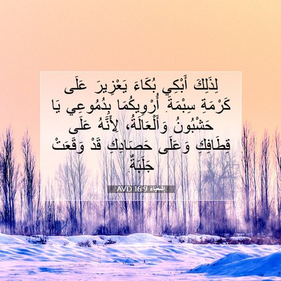 Picture 07 - إِشَعْيَاءَ 16:9 AVD - لِذَلِكَ أَبْكِي بُكَاءَ - Bible Verse Picture