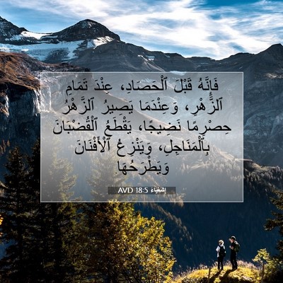 Picture 07 - إِشَعْيَاءَ 18:5 AVD - فَإِنَّهُ قَبْلَ - Bible Verse Picture