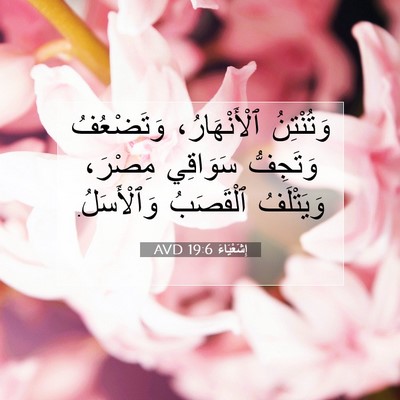 Picture 07 - إِشَعْيَاءَ 19:6 AVD - وَتُنْتِنُ ٱلْأَنْهَارُ، - Bible Verse Picture