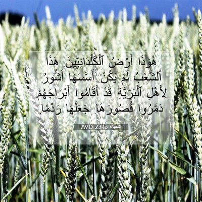Picture 07 - إِشَعْيَاءَ 23:13 AVD - هُوَذَا أَرْضُ - Bible Verse Picture