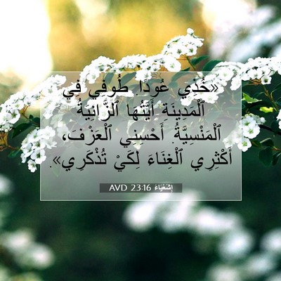 Picture 07 - إِشَعْيَاءَ 23:16 AVD - «خُذِي عُودًا. طُوفِي فِي - Bible Verse Picture