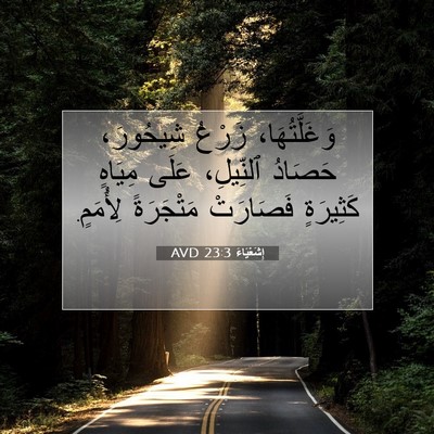 Picture 07 - إِشَعْيَاءَ 23:3 AVD - وَغَلَّتُهَا، زَرْعُ - Bible Verse Picture