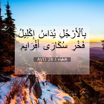 Picture 07 - إِشَعْيَاءَ 28:3 AVD - بِٱلْأَرْجُلِ يُدَاسُ - Bible Verse Picture