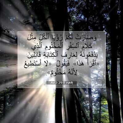 Picture 07 - إِشَعْيَاءَ 29:11 AVD - وَصَارَتْ لَكُمْ رُؤْيَا - Bible Verse Picture