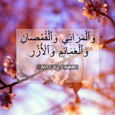 Picture 07 - إِشَعْيَاءَ 3:23 AVD - وَٱلْمَرَائِي - Bible Verse Picture