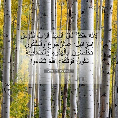 Picture 07 - إِشَعْيَاءَ 30:15 AVD - لِأَنَّهُ هَكَذَا قَالَ - Bible Verse Picture