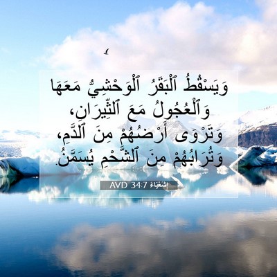 Picture 07 - إِشَعْيَاءَ 34:7 AVD - وَيَسْقُطُ ٱلْبَقَرُ - Bible Verse Picture