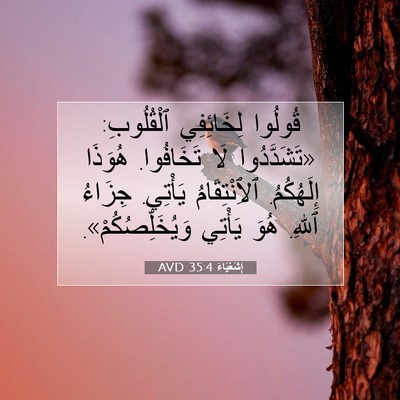 Picture 07 - إِشَعْيَاءَ 35:4 AVD - قُولُوا لِخَائِفِي - Bible Verse Picture