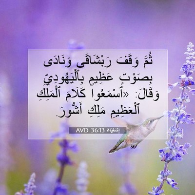 Picture 07 - إِشَعْيَاءَ 36:13 AVD - ثُمَّ وَقَفَ رَبْشَاقَى - Bible Verse Picture