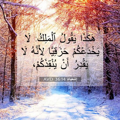 Picture 07 - إِشَعْيَاءَ 36:14 AVD - هَكَذَا يَقُولُ ٱلْمَلِكُ: - Bible Verse Picture