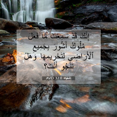 Picture 07 - إِشَعْيَاءَ 37:11 AVD - إِنَّكَ قَدْ سَمِعْتَ مَا - Bible Verse Picture