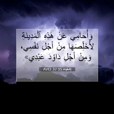 Picture 07 - إِشَعْيَاءَ 37:35 AVD - وَأُحَامِي عَنْ هَذِهِ - Bible Verse Picture