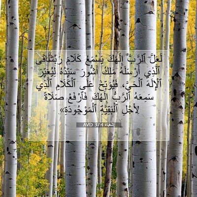 Picture 07 - إِشَعْيَاءَ 37:4 AVD - لَعَلَّ ٱلرَّبَّ إِلَهَكَ - Bible Verse Picture
