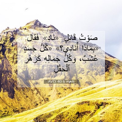 Picture 07 - إِشَعْيَاءَ 40:6 AVD - صَوْتُ قَائِلٍ: «نَادِ». - Bible Verse Picture
