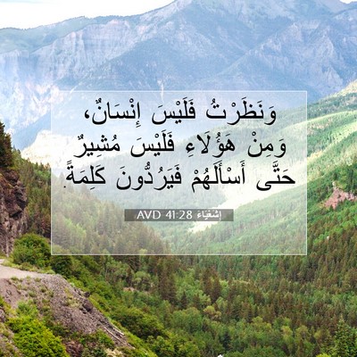 Picture 07 - إِشَعْيَاءَ 41:28 AVD - وَنَظَرْتُ فَلَيْسَ - Bible Verse Picture