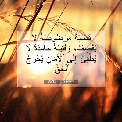 Picture 07 - إِشَعْيَاءَ 42:3 AVD - قَصَبَةً مَرْضُوضَةً لَا - Bible Verse Picture