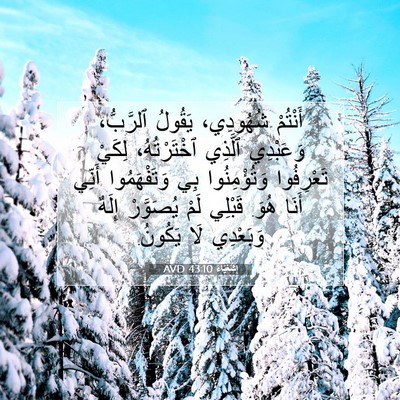 Picture 07 - إِشَعْيَاءَ 43:10 AVD - أَنْتُمْ شُهُودِي، - Bible Verse Picture