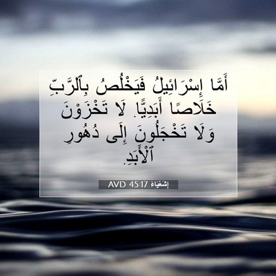 Picture 07 - إِشَعْيَاءَ 45:17 AVD - أَمَّا إِسْرَائِيلُ - Bible Verse Picture