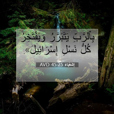Picture 07 - إِشَعْيَاءَ 45:25 AVD - بِٱلرَّبِّ يَتَبَرَّرُ - Bible Verse Picture