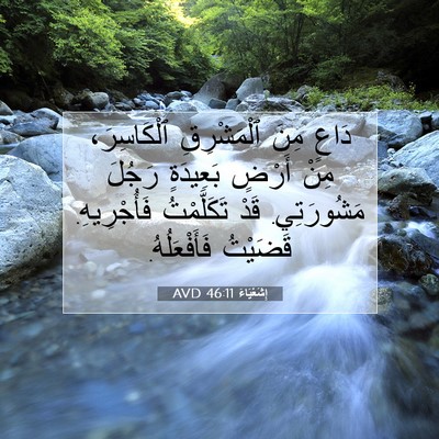 Picture 07 - إِشَعْيَاءَ 46:11 AVD - دَاعٍ مِنَ ٱلْمَشْرِقِ - Bible Verse Picture