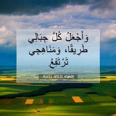 Picture 07 - إِشَعْيَاءَ 49:11 AVD - وَأَجْعَلُ كُلَّ جِبَالِي - Bible Verse Picture