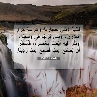 Picture 07 - إِشَعْيَاءَ 5:2 AVD - فَنَقَبَهُ وَنَقَّى - Bible Verse Picture