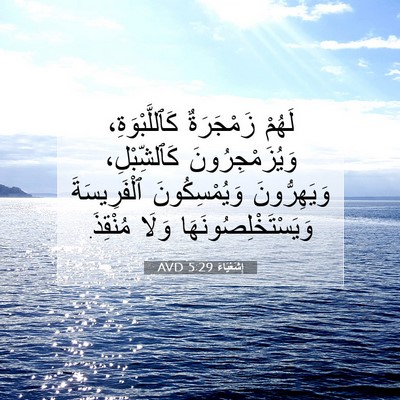Picture 07 - إِشَعْيَاءَ 5:29 AVD - لَهُمْ زَمْجَرَةٌ - Bible Verse Picture