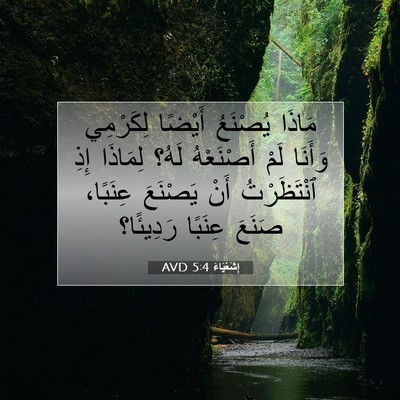 Picture 07 - إِشَعْيَاءَ 5:4 AVD - مَاذَا يُصْنَعُ أَيْضًا - Bible Verse Picture