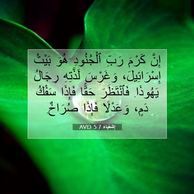 Picture 07 - إِشَعْيَاءَ 5:7 AVD - إِنَّ كَرْمَ رَبِّ - Bible Verse Picture