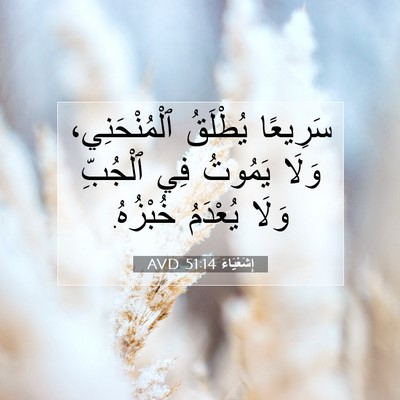 Picture 07 - إِشَعْيَاءَ 51:14 AVD - سَرِيعًا يُطْلَقُ - Bible Verse Picture