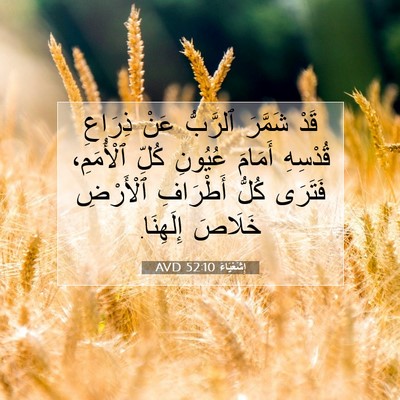 Picture 07 - إِشَعْيَاءَ 52:10 AVD - قَدْ شَمَّرَ ٱلرَّبُّ عَنْ - Bible Verse Picture