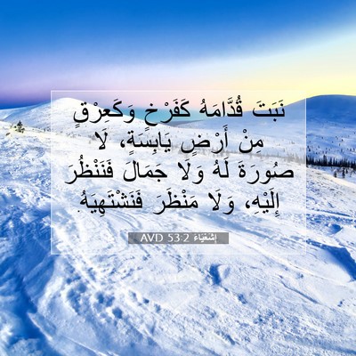 Picture 07 - إِشَعْيَاءَ 53:2 AVD - نَبَتَ قُدَّامَهُ - Bible Verse Picture