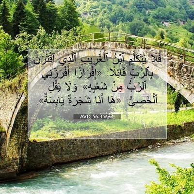 Picture 07 - إِشَعْيَاءَ 56:3 AVD - فَلَا يَتَكَلَّمِ ٱبْنُ - Bible Verse Picture