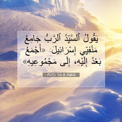 Picture 07 - إِشَعْيَاءَ 56:8 AVD - يَقُولُ ٱلسَّيِّدُ - Bible Verse Picture