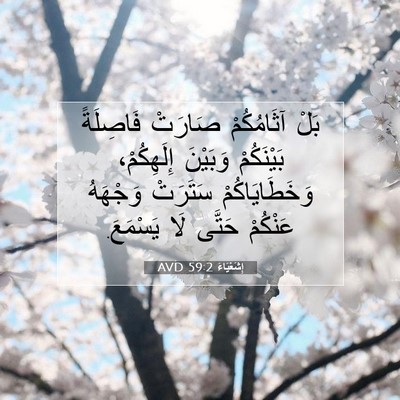 Picture 07 - إِشَعْيَاءَ 59:2 AVD - بَلْ آثَامُكُمْ صَارَتْ - Bible Verse Picture
