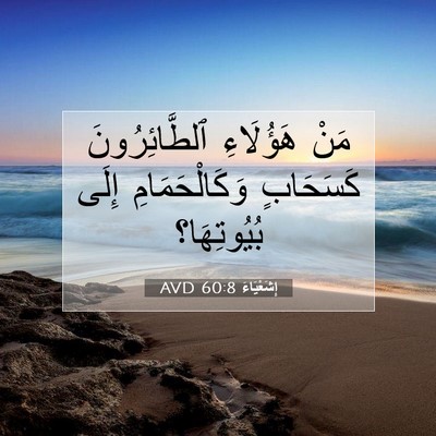 Picture 07 - إِشَعْيَاءَ 60:8 AVD - مَنْ هَؤُلَاءِ - Bible Verse Picture