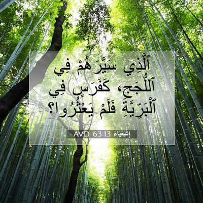 Picture 07 - إِشَعْيَاءَ 63:13 AVD - ٱلَّذِي سَيَّرَهُمْ فِي - Bible Verse Picture