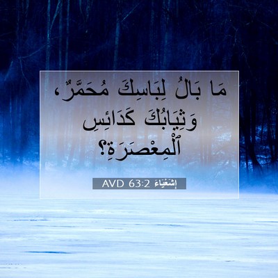 Picture 07 - إِشَعْيَاءَ 63:2 AVD - مَا بَالُ لِبَاسِكَ - Bible Verse Picture