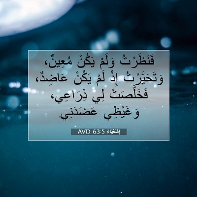 Picture 07 - إِشَعْيَاءَ 63:5 AVD - فَنَظَرْتُ وَلَمْ يَكُنْ - Bible Verse Picture