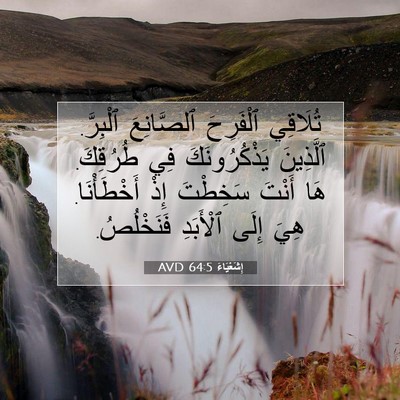 Picture 07 - إِشَعْيَاءَ 64:5 AVD - تُلَاقِي ٱلْفَرِحَ - Bible Verse Picture