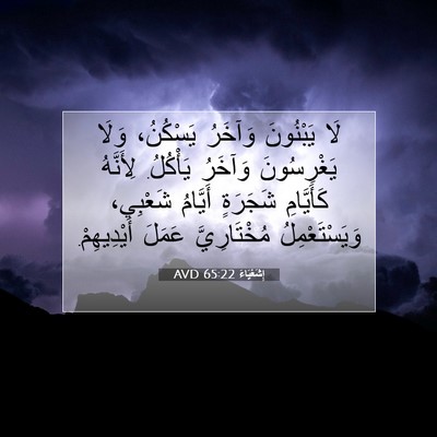 Picture 07 - إِشَعْيَاءَ 65:22 AVD - لَا يَبْنُونَ وَآخَرُ - Bible Verse Picture