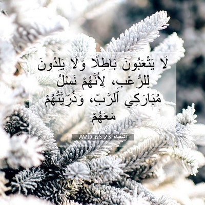 Picture 07 - إِشَعْيَاءَ 65:23 AVD - لَا يَتْعَبُونَ بَاطِلًا - Bible Verse Picture