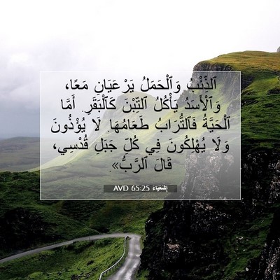 Picture 07 - إِشَعْيَاءَ 65:25 AVD - ٱلذِّئْبُ وَٱلْحَمَلُ - Bible Verse Picture