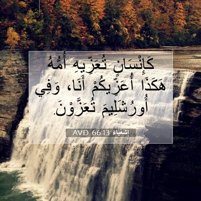 Picture 07 - إِشَعْيَاءَ 66:13 AVD - كَإِنْسَانٍ تُعَزِّيهِ - Bible Verse Picture