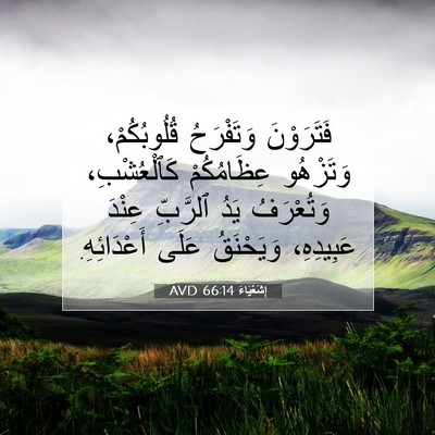 Picture 07 - إِشَعْيَاءَ 66:14 AVD - فَتَرَوْنَ وَتَفْرَحُ - Bible Verse Picture
