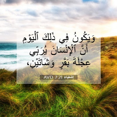 Picture 07 - إِشَعْيَاءَ 7:21 AVD - وَيَكُونُ فِي ذَلِكَ - Bible Verse Picture